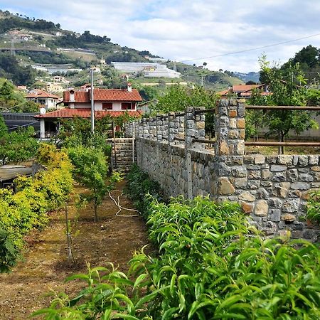 Le Rose Villa San Biagio della Cima Exterior photo