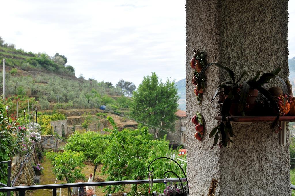 Le Rose Villa San Biagio della Cima Exterior photo