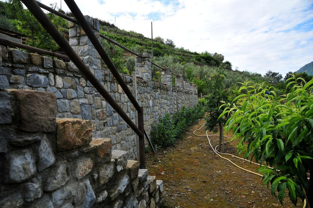 Le Rose Villa San Biagio della Cima Exterior photo